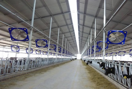 ضرب مباشر في الصيف