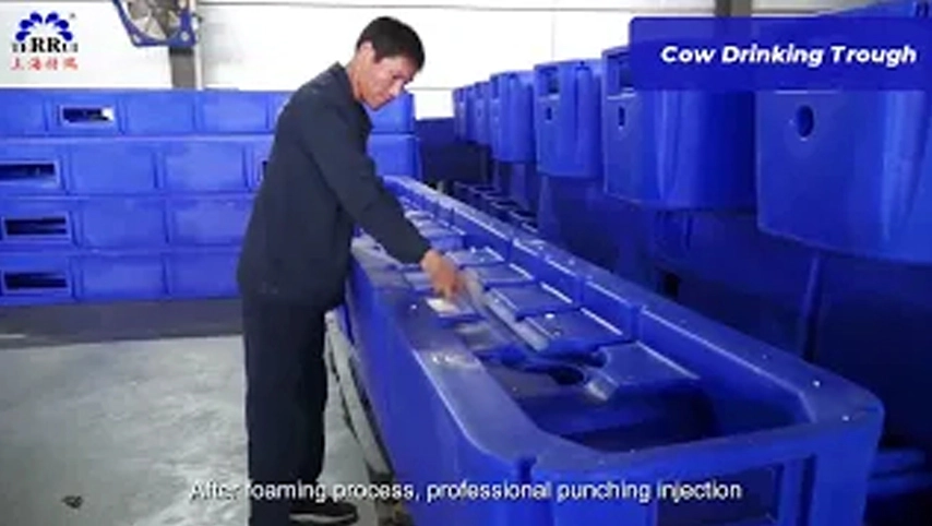 هل أنت مهتم بشرب الأبقار ؟