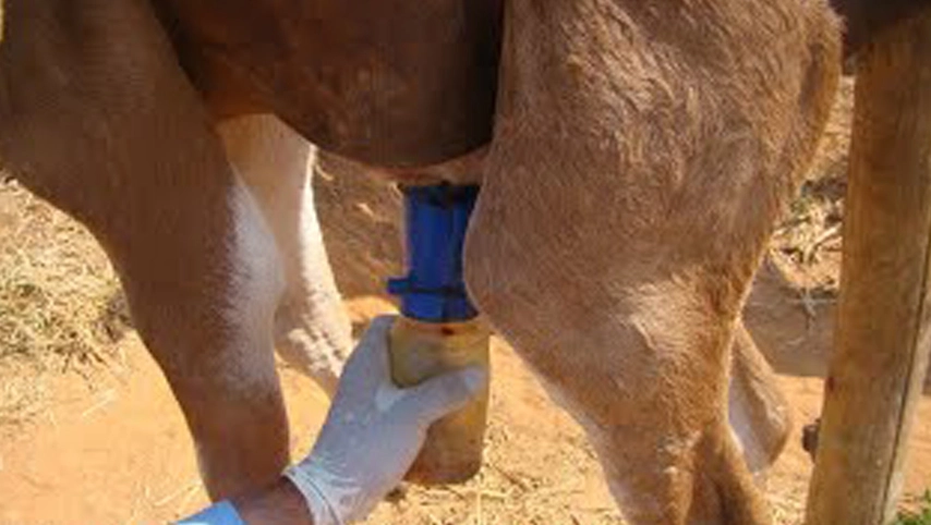 كوب غمس للثدي ، كوب غمس غير قابل للعودة ، كوب غمس رغوي