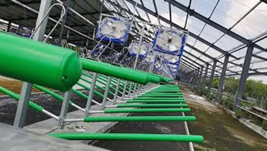 مصنع مصنع تيروي كشك خالي من البقر يوفر معدات مزرعة