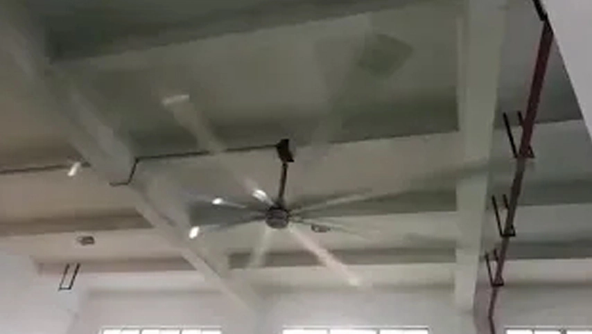 مروحة سقف صناعية كبيرة 24 قدم مروحة سقف صناعية Hvls 8 شفرات الشركة المصنعة في الصين