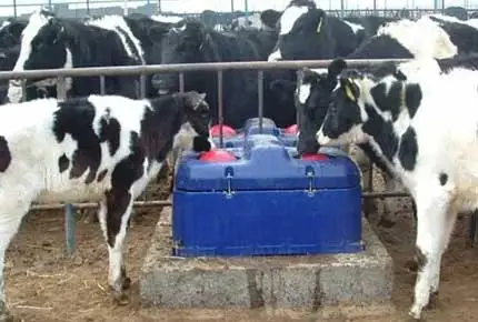 ثلاث نصائح غذائية لتغيير اللعبة في موسم الولادة هذا