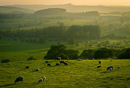 معدات المخزون الحي لمكان عام كبير