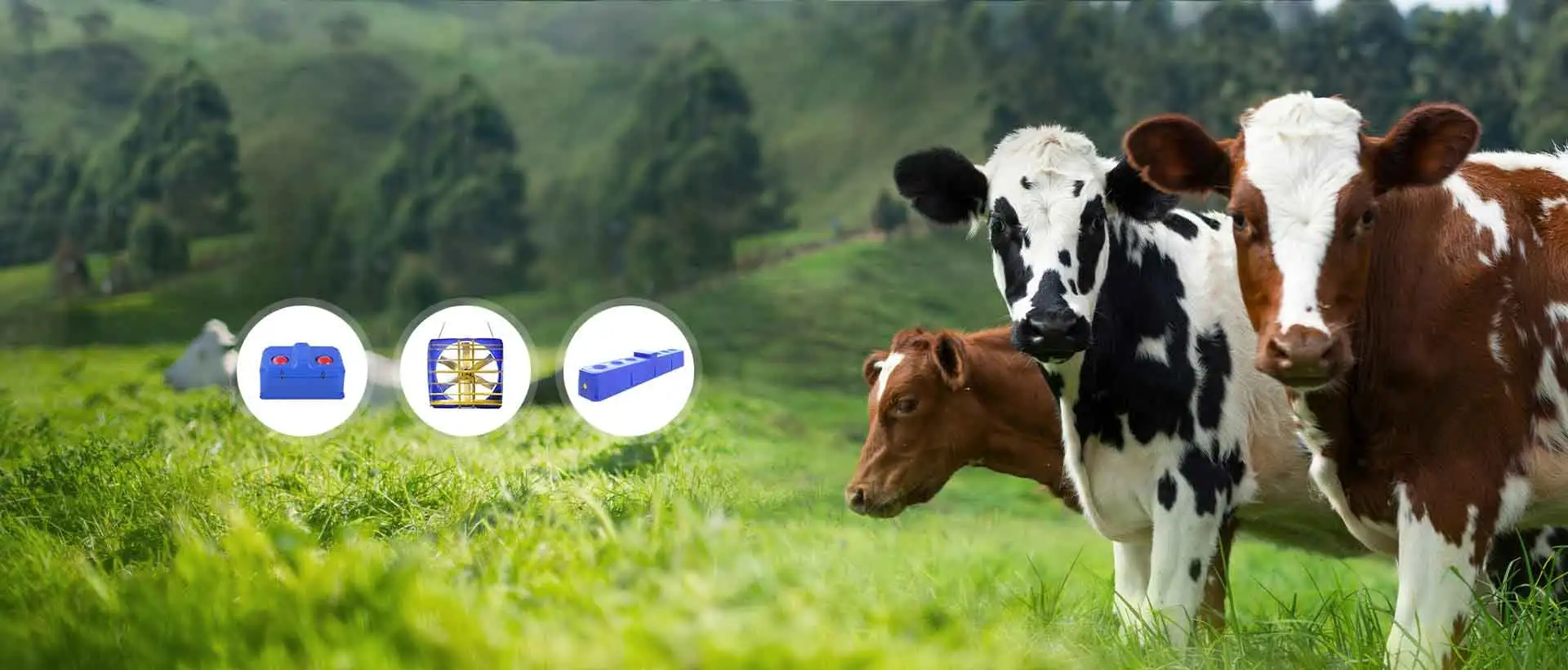 تجربة جودة لا مثيل لها مع معدات الماشية التيرو