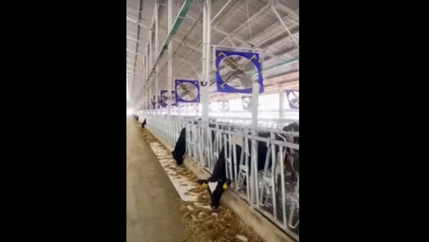 مروحة صناعية 38 بوصة