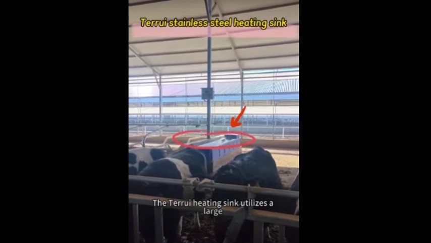 حوض مائي للوحة غير القابل للصدأ