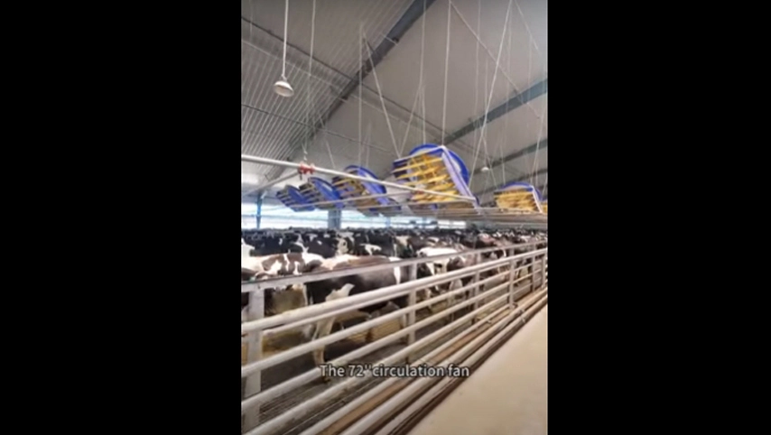 مروحة الدورة الدموية 72