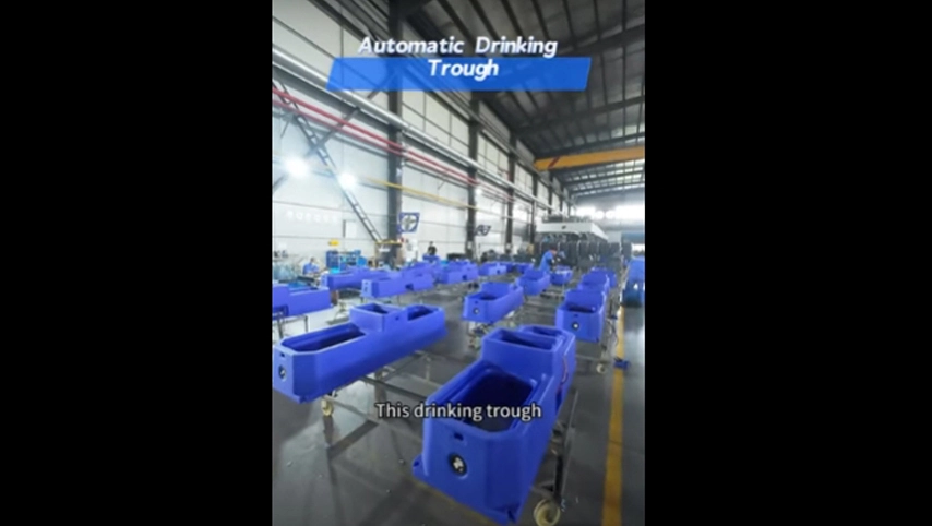 حوض شرب أوتوماتيكي