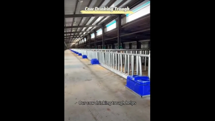 حوض شرب البقر