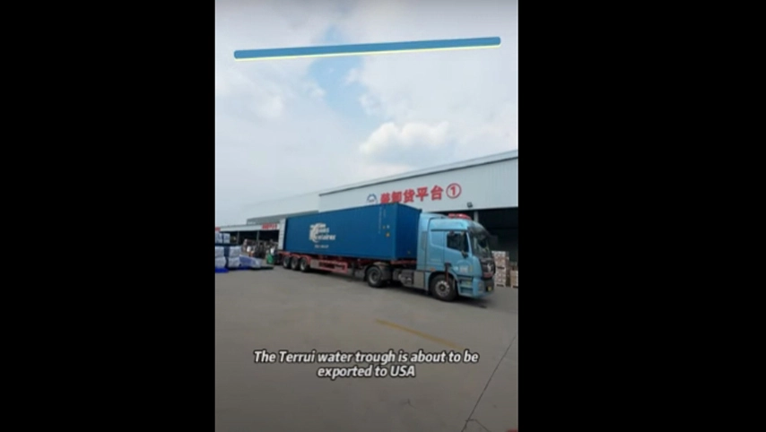 تصدير إلى الولايات المتحدة الأمريكية