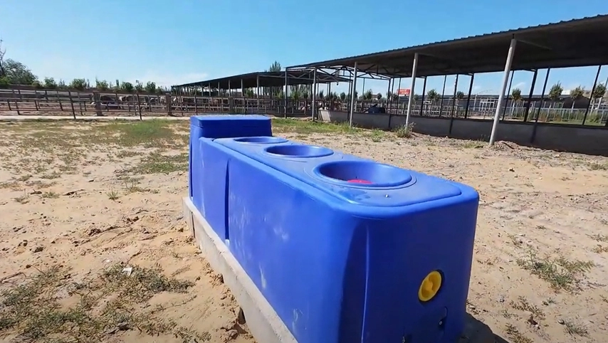 حوض مياه المواشي terrui m