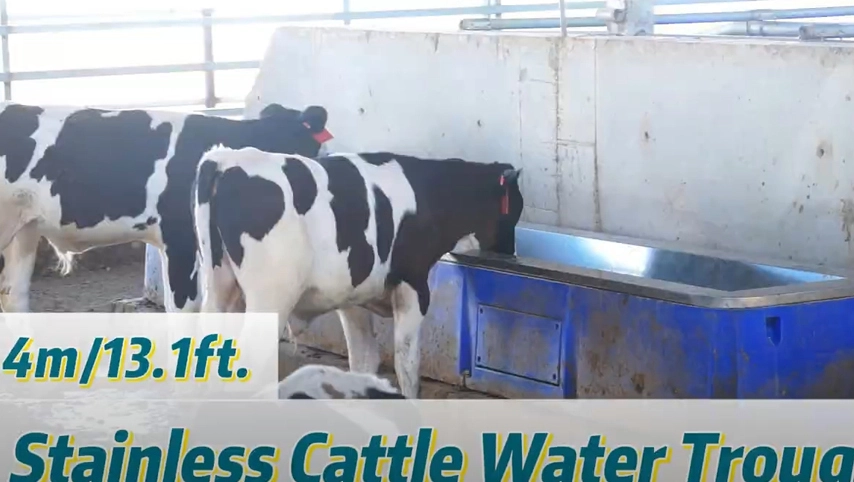 الحوض المائي غير القابل للصدأ للماشية