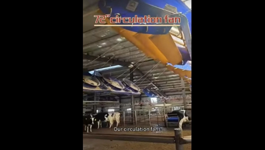 مروحة دوران