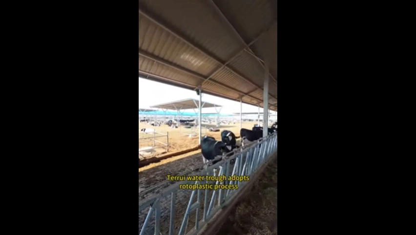 حوض مياه تيروي