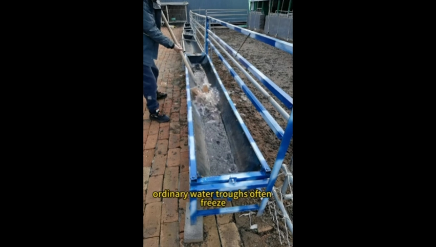 الحوض الصغير