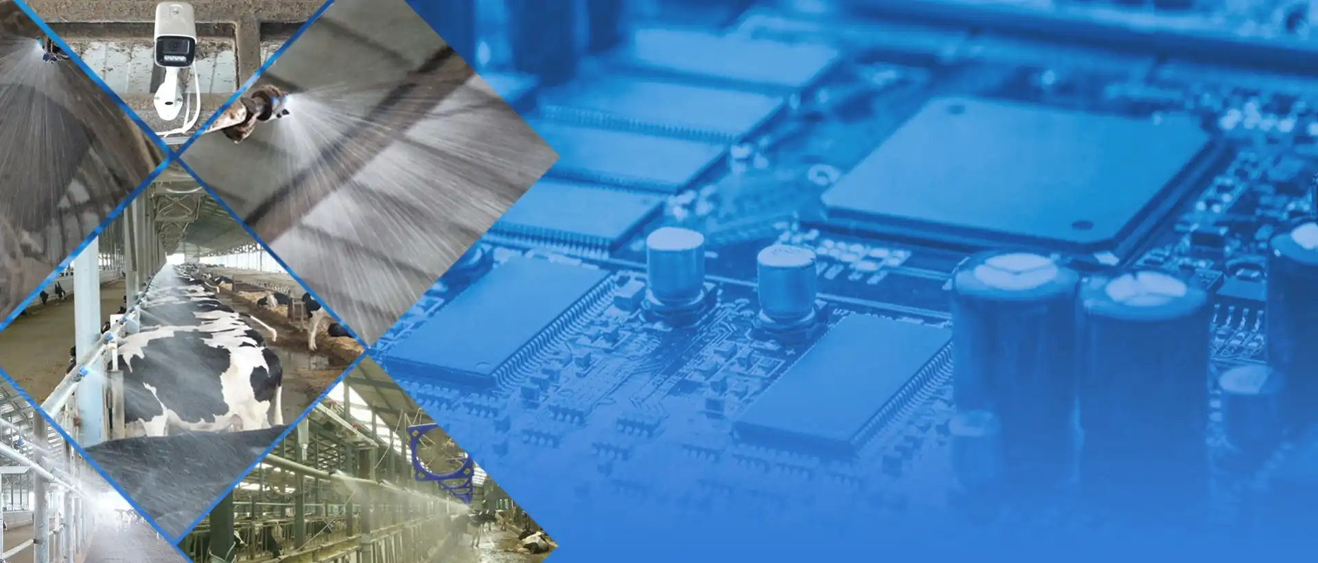 نظام رش ذكي دقيق Terrui