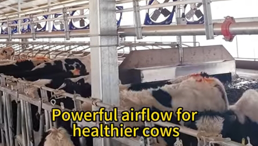 مروحة دوران