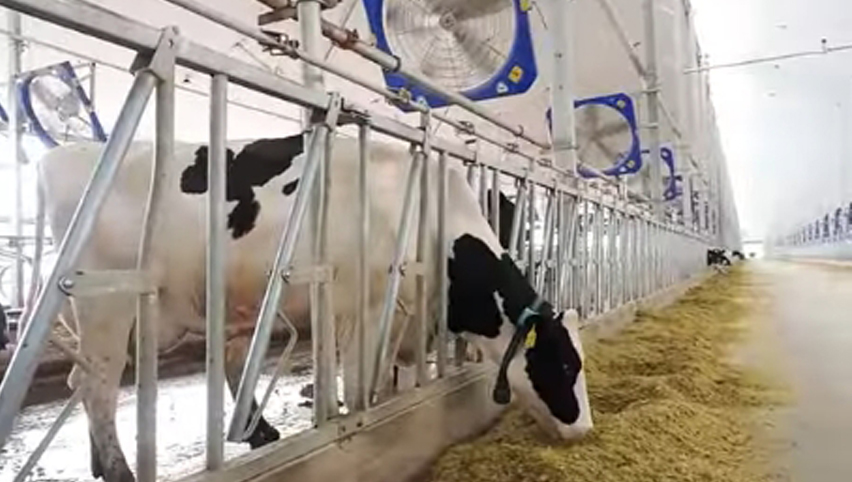 مروحة دوران 45 بوصة