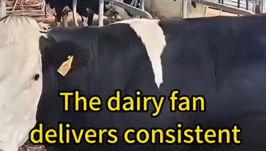 مروحة الألبان