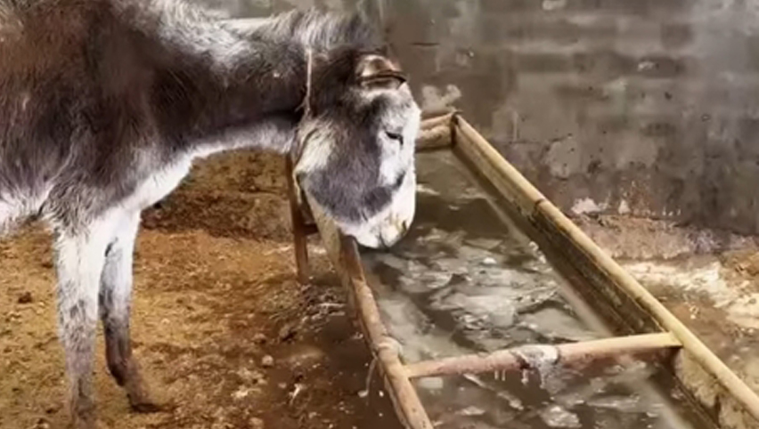 مقارنة بالوعة