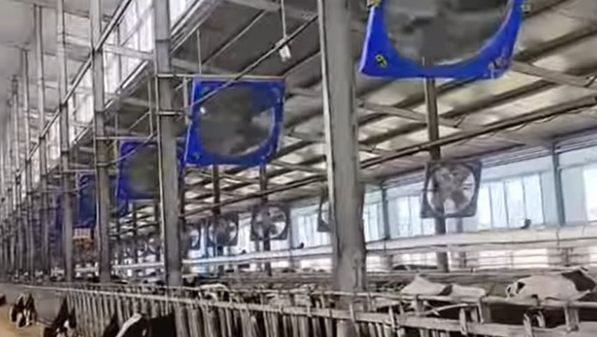 مراوح دوران 38 بوصة