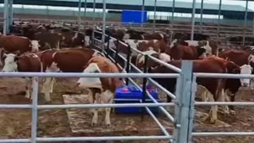 حوض الماء الساخن