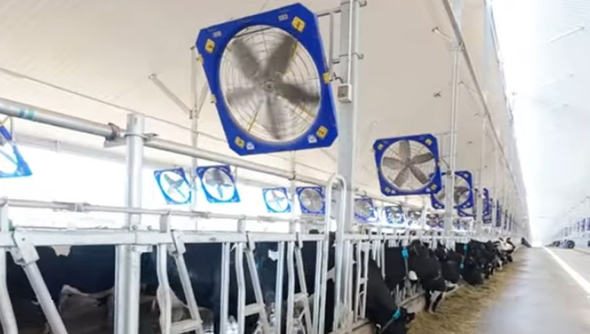 مروحة دوران 45 بوصة