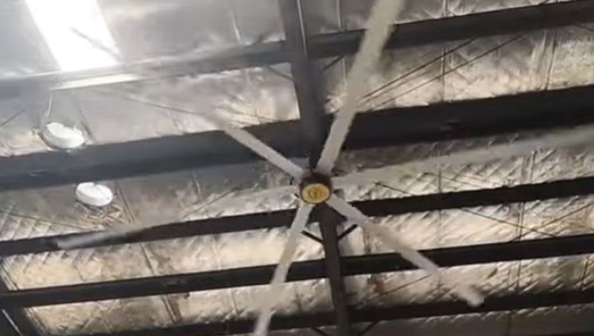 مروحة سقف Hvls