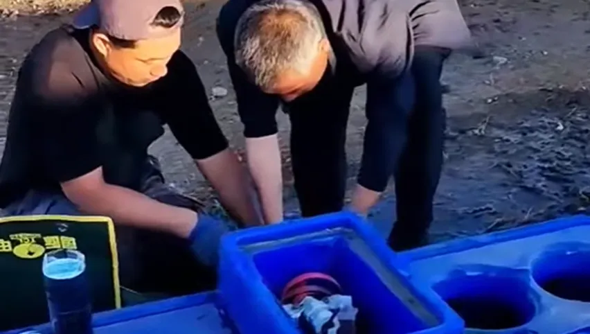 حوض ماء الماشية