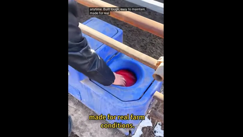 شارب آلي للأبقار