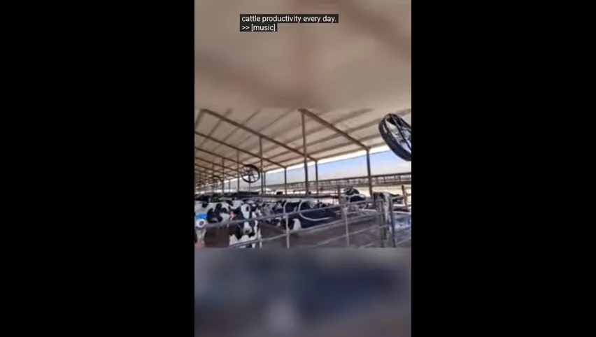 حوض ماء للماشية من البلاستيك الأزرق