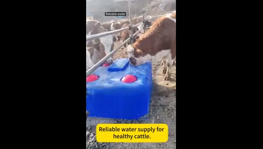 أوعية شرب الماشية