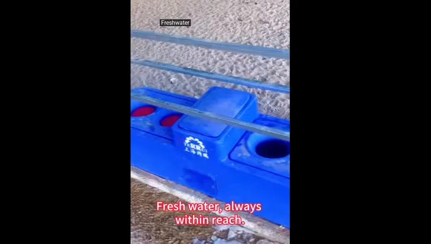 مشربية أبقار للبيع