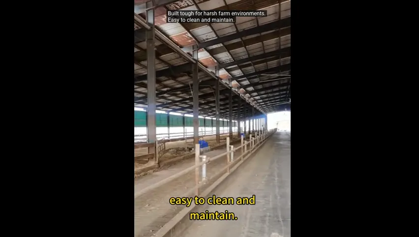 مشرب الأبقار