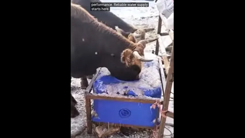 مراوح مزارع الدواجن
