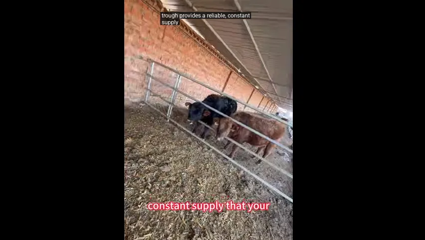 حوض ماشية من الستانلس ستيل