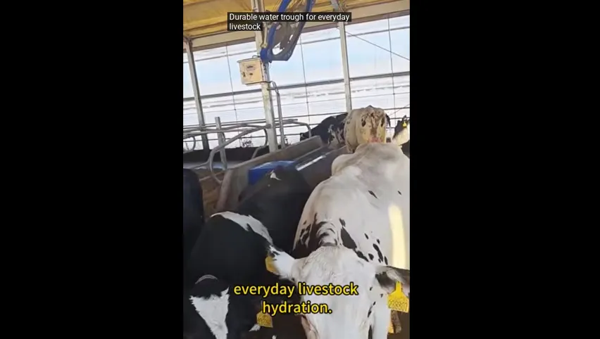 نظام النقع البصري