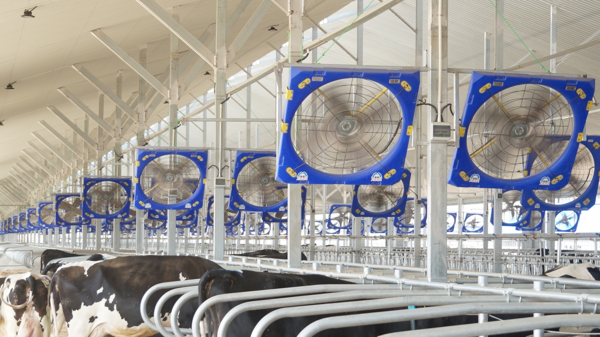 مروحة تدوير Terrui 38 بوصة بمحرك 115-A لمناخ دقيق في صندوق العجل والتحكم بالأمونيا.